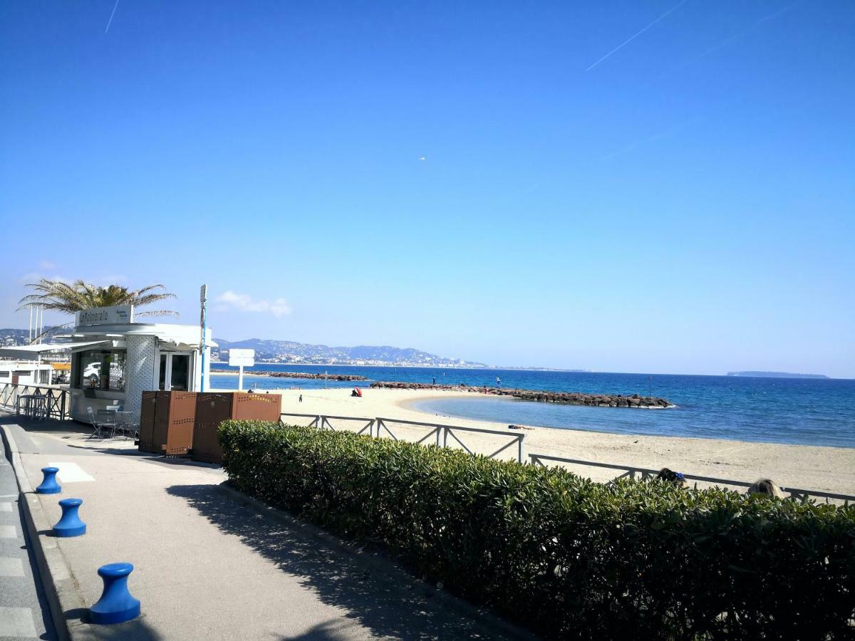 Studio Cannes Marina Mandelieu Eksteriør bilde
